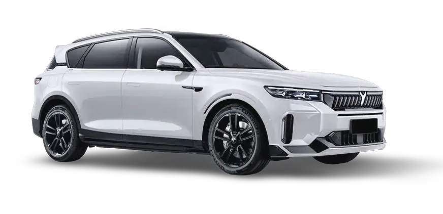 selected car